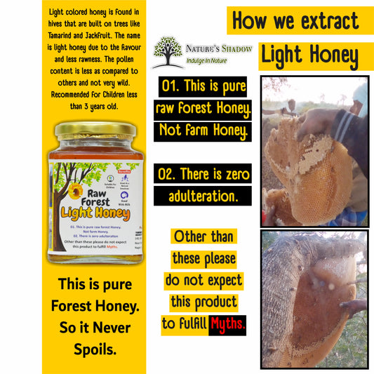 Light Coloured Raw Forest Honey - Thalakaadu Origin