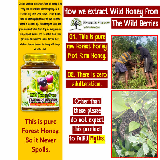 Wild Honey From The Wild Berries  -  Astringent And Sweet Taste Honey