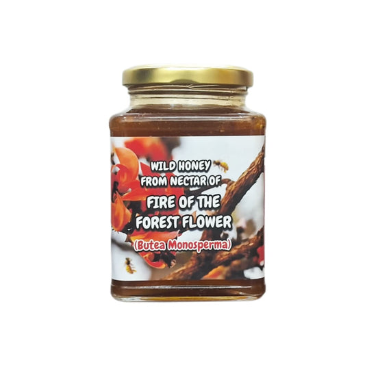 Wild Honey From Nectars Of Flame Of The Forest Flowers (Butea monosperma)