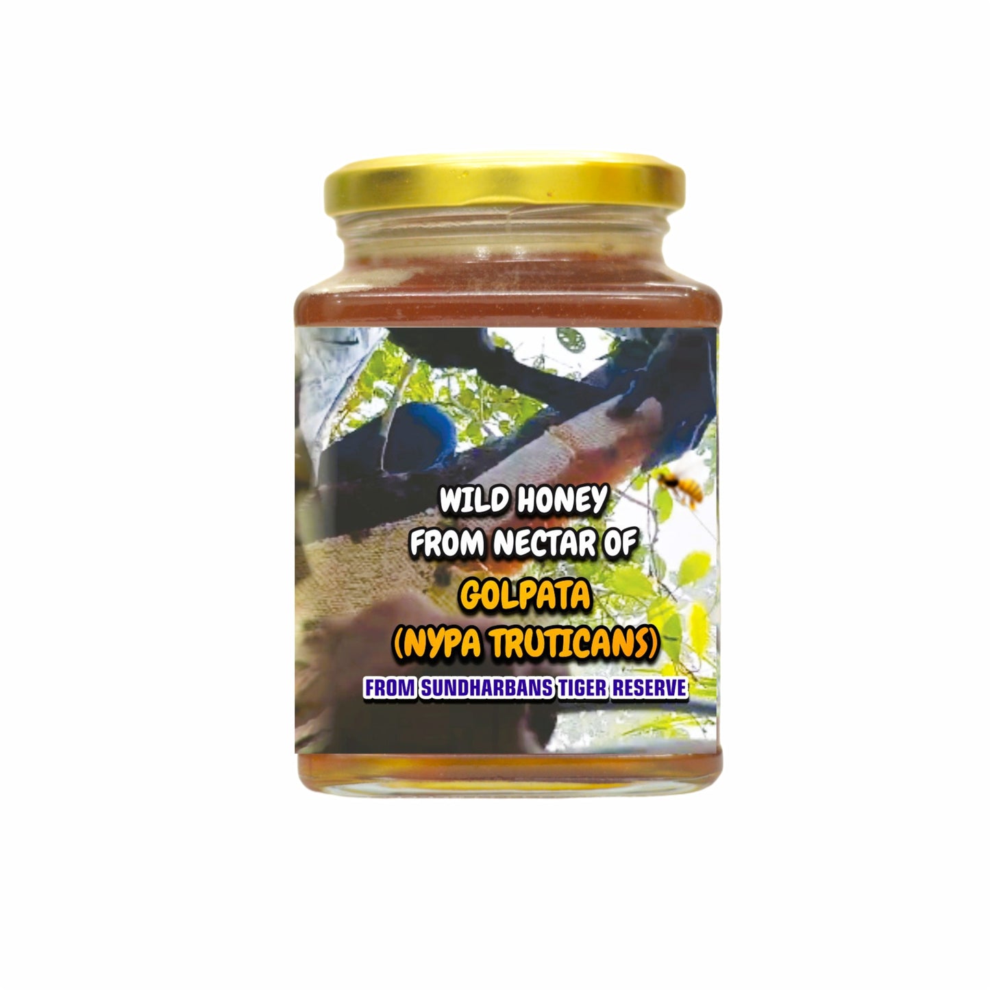 Sundharbans Tiger Reserve's - Golpata Flowers (Smells Alcoholic)