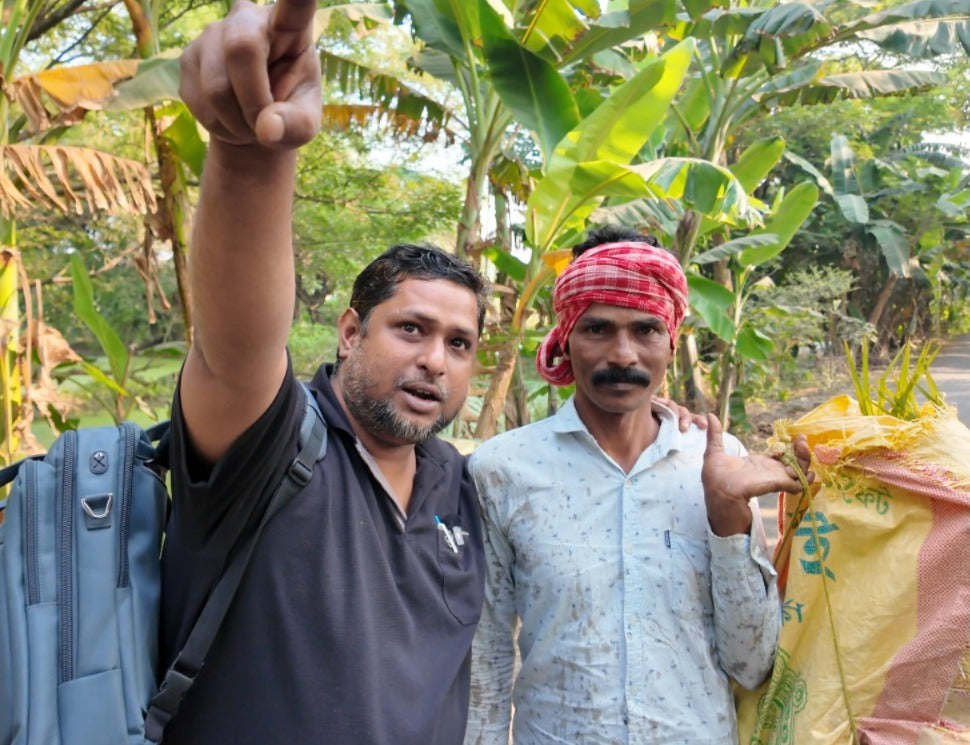 Where The Bengal Tigers Rule - Wild Honey With Hive From The World's Most Dangerous And Largest Mangrove Forests - With The Hive - Before The End Of May 2026