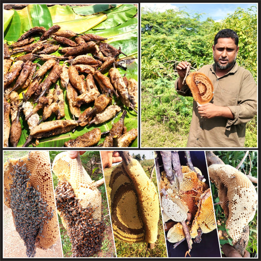 Squeezed - Either Burrow Or Kombu Honey Or Malaithaen - By The Mid of July 2026