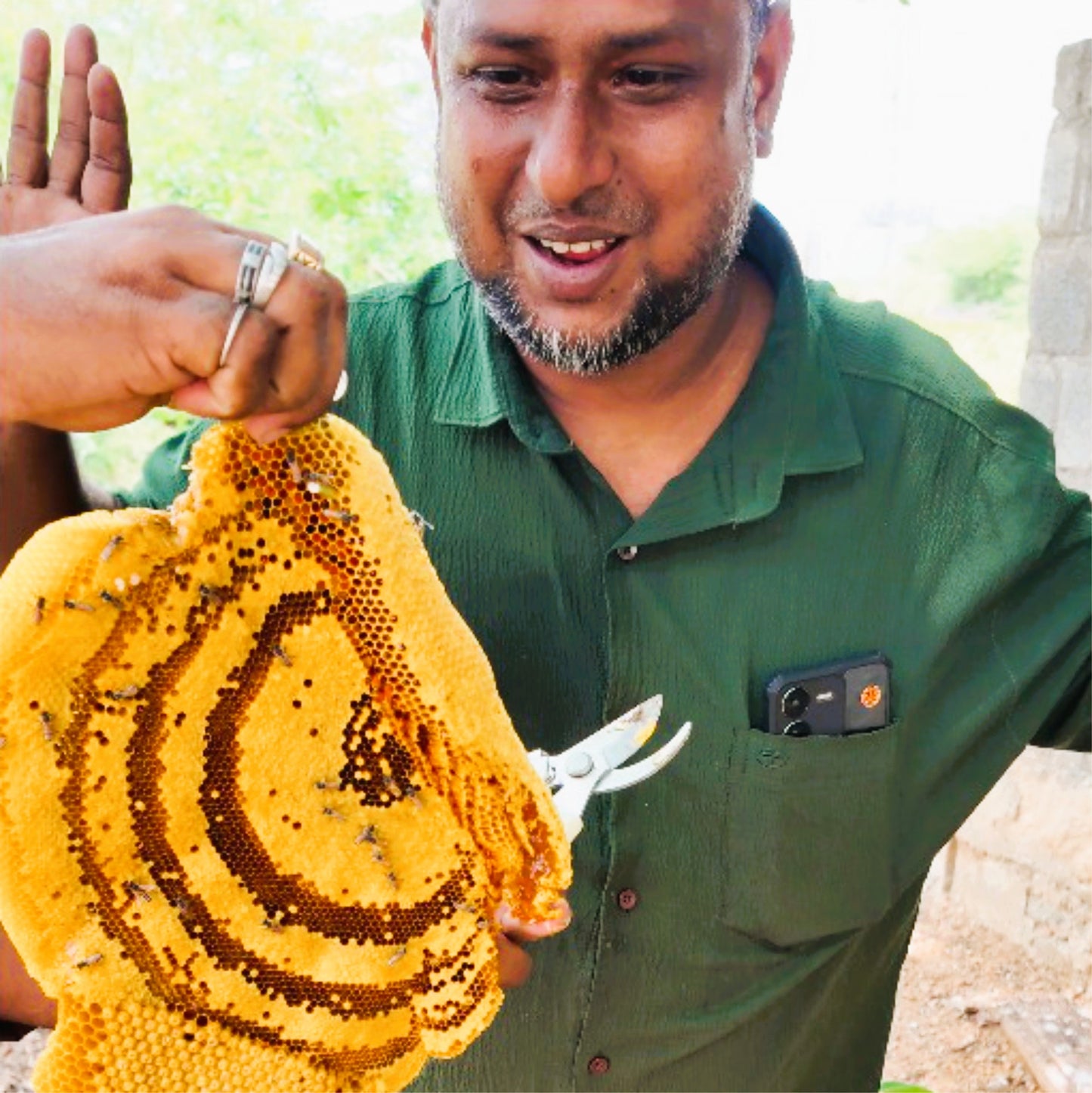 Kombu Honey From The Wilderness Of South Regions Of Tamilnadu - Extraction in the Third week of June 2025 - 1 Bottle