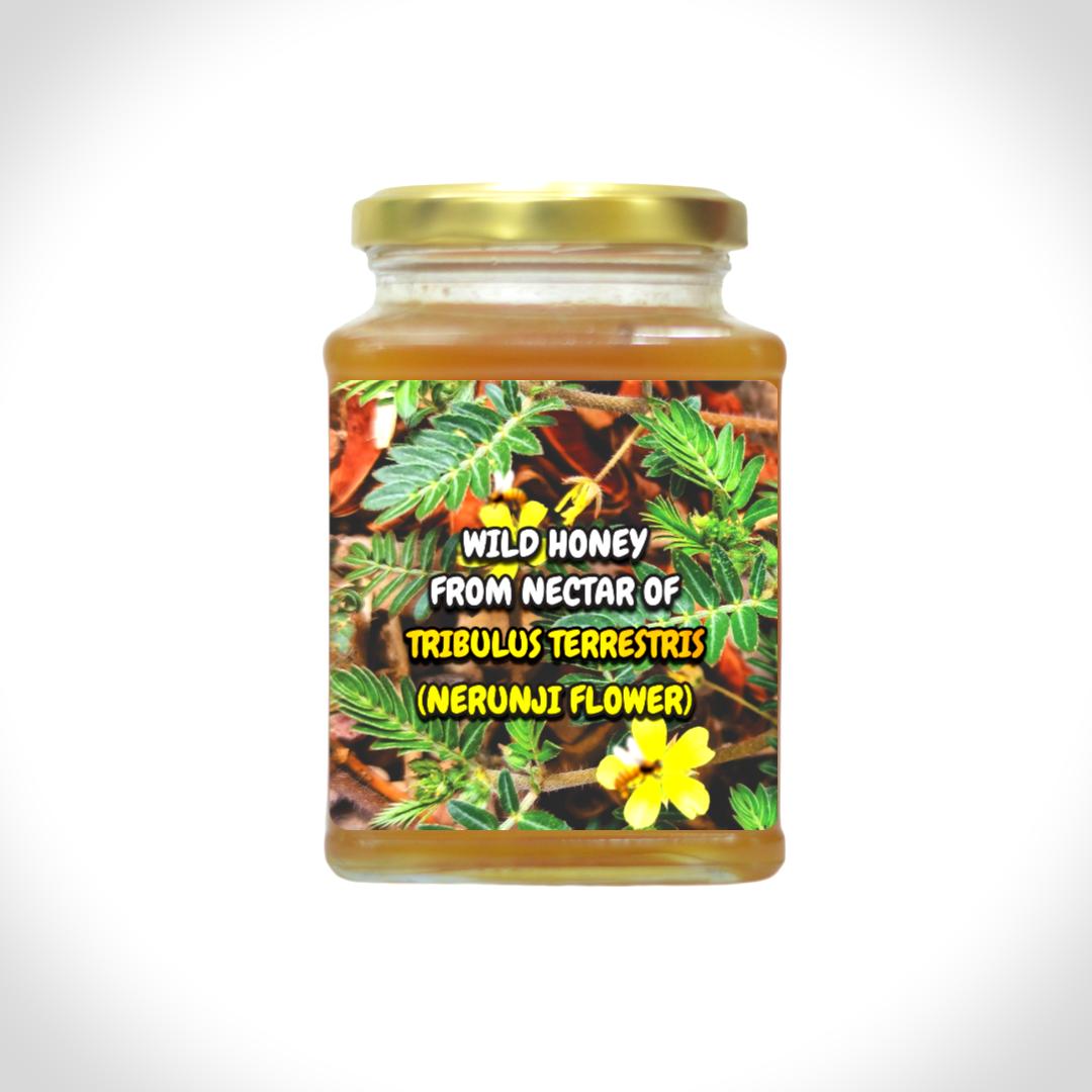 Wild Honey From The Nectars Of Tribulus Terrestrisa (Nerunji Poo)