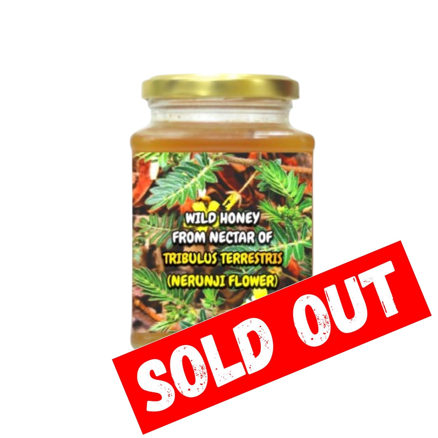 Wild Honey From The Nectars Of Tribulus Terrestrisa (Nerunji Poo)