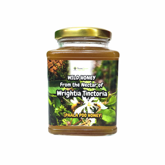 Wild Wrightia Tinctoria Honey (Paalai Poo Honey)