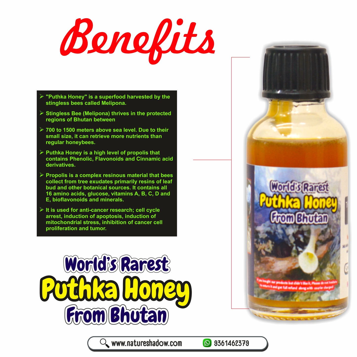 World's Rarest Puthka Honey From Bhutan - 40 Grams