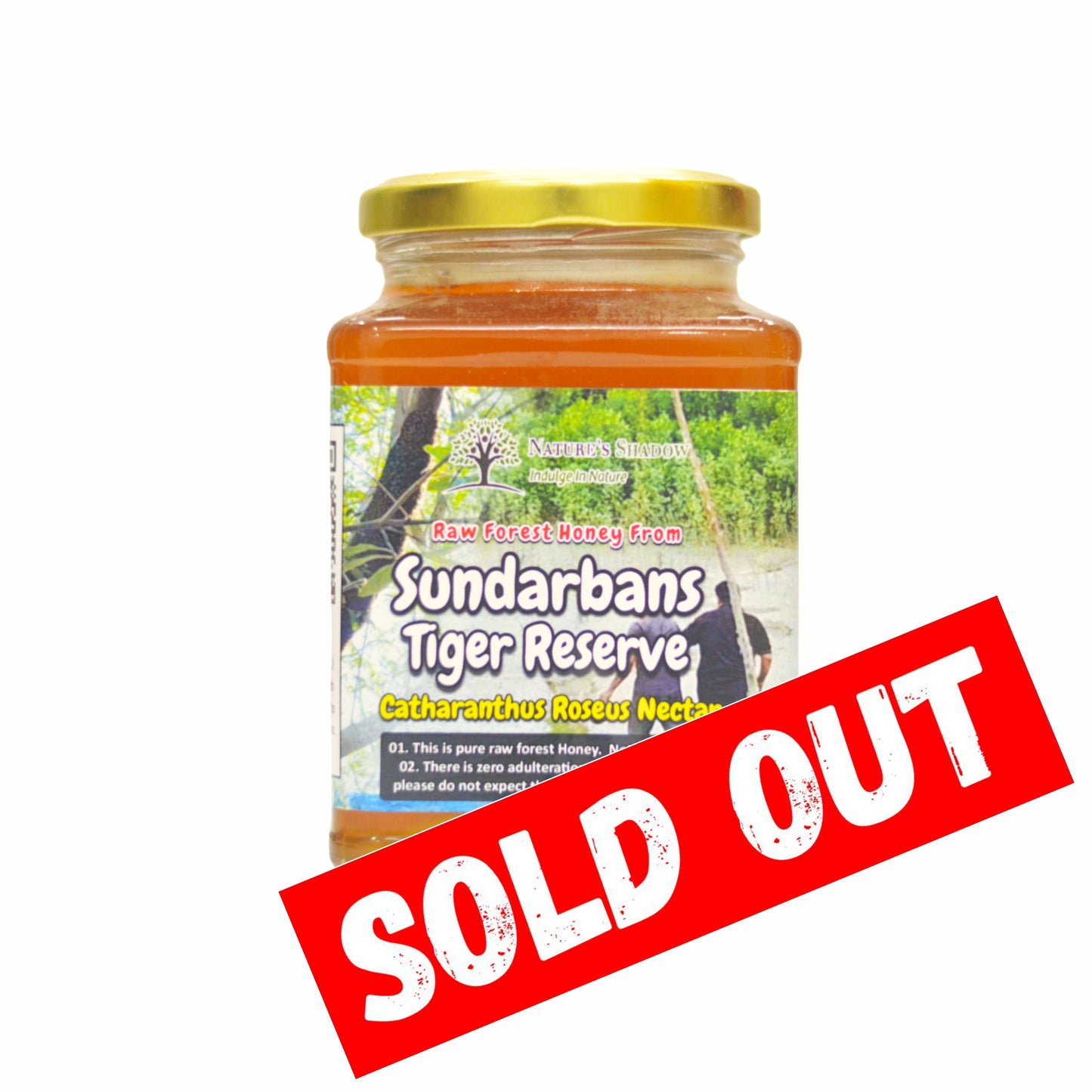 Sundharbans Tiger Reserve's - Raw Forest Honey - Avecennia Abynalus Nectar