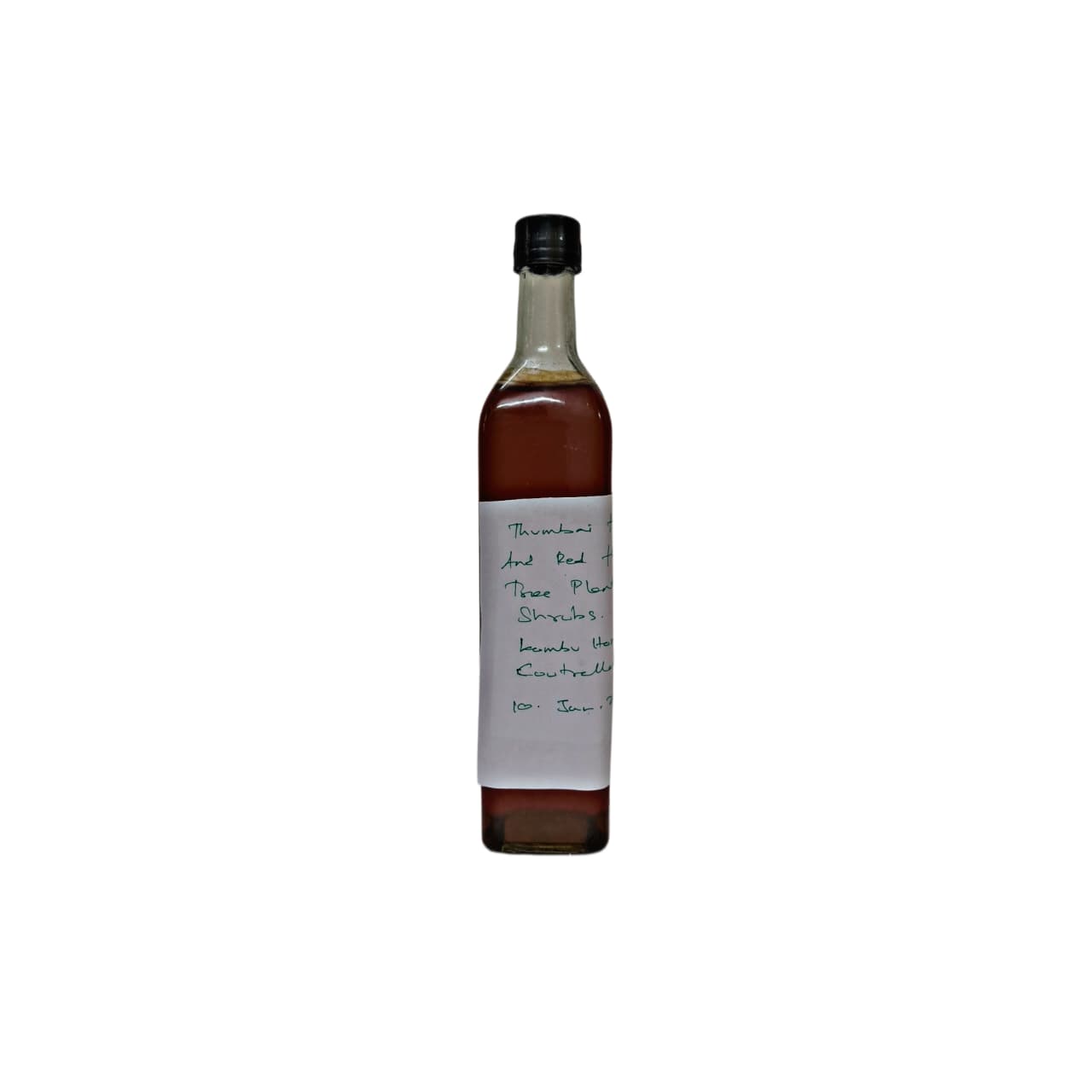Thumbai Poo And Red Flower Tree Plant - Kombu Honey - Coutrallam 10 JAN 2026