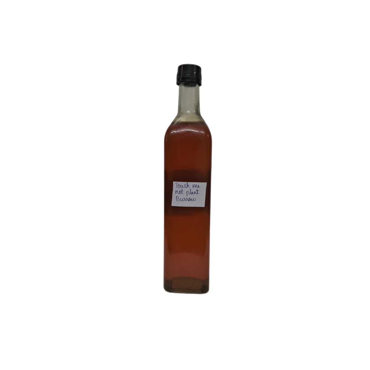 Touch Me Not Plant Nectar From Burrow Honey - 1 Kg