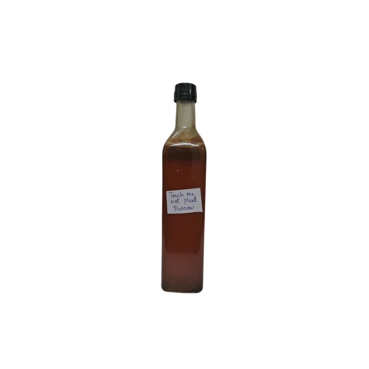 Touch Me Not Plant Nectar From Burrow Honey - 1 Kg