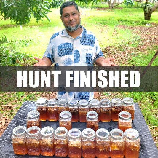 With The Hive - Burrow Or Kombu Honey Or Malaithaen - Virtual Honey Hunt Experience: Harvest Burrow or Kombu Honey Before End of June 2026 Ends