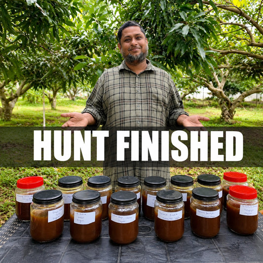 Pollen Rich Stingless Bee Honey From Rocks And Tree Burrows - South Indian Origin - By The Mid Of July 2026