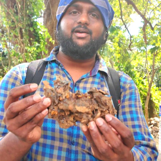 Stingless Bee Honey Red Pollen From South Tamil Nadu - Before 25th Of September 2025