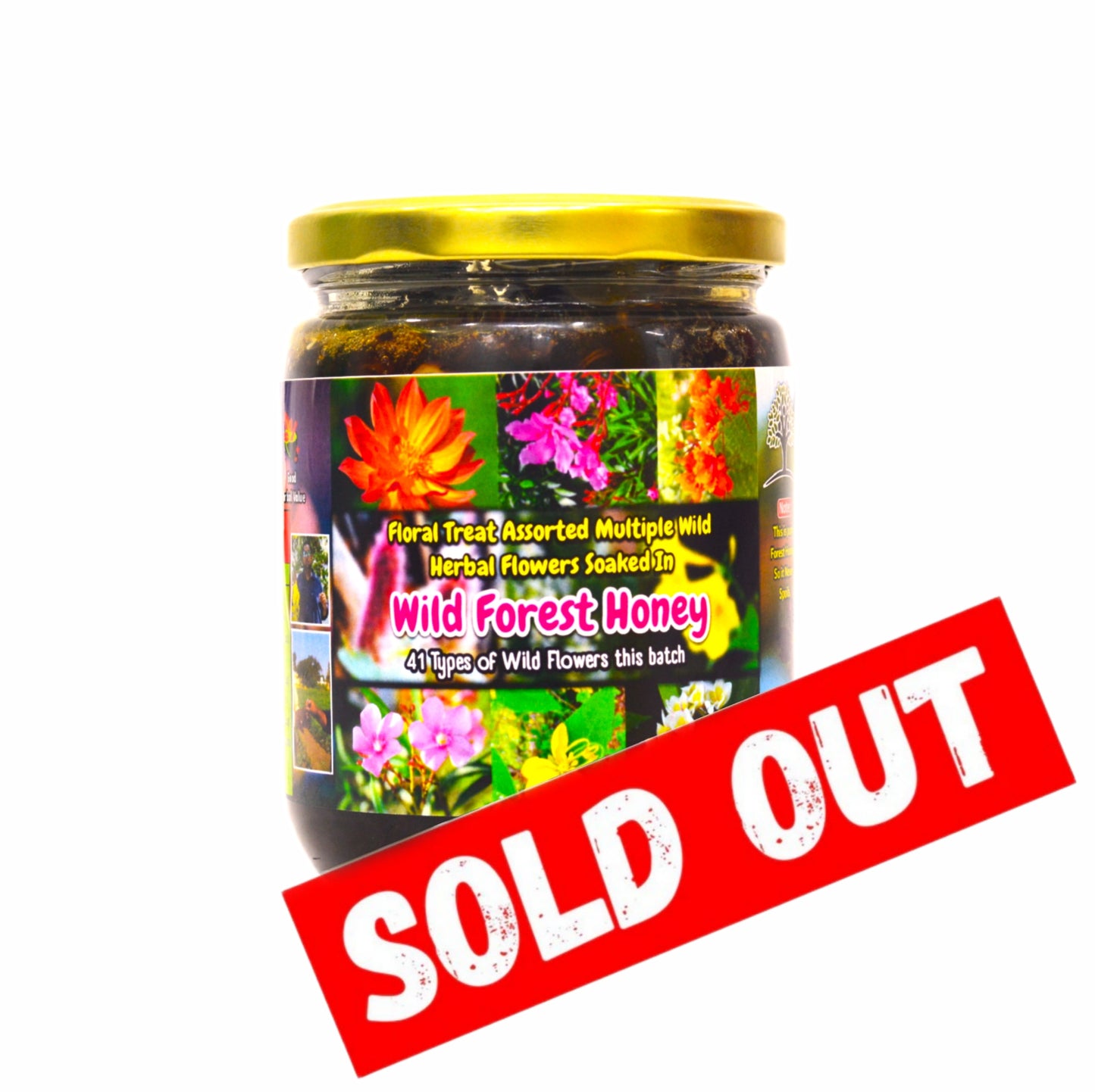 Floral Treat - Assorted Multiple Wild Herbal Flowers Soaked In Wild Forest Honey - 41 Types of Wild Flowers this batch