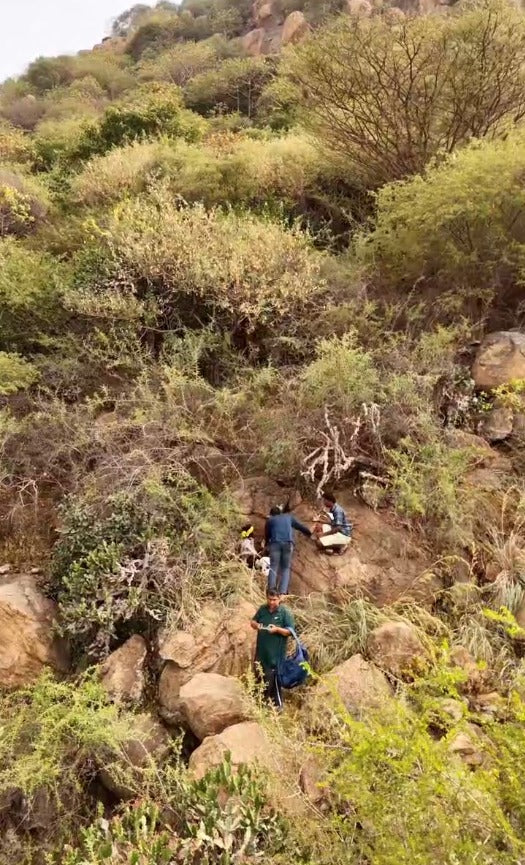 Seasonal Nectars - Wild Honey With The Hive And Pollen And Everything A Hive Holds - From Seasonal Nectars - Honey Won't Be Squeezed - Delivery Anytime Before End Of May 2026