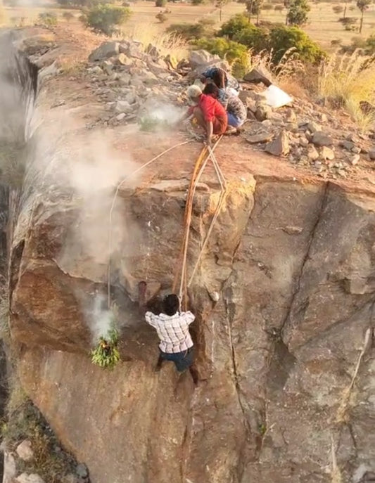 Seasonal Nectars - Wild Honey From Seasonal Nectars - Delivery Anytime Before End Of May 2026