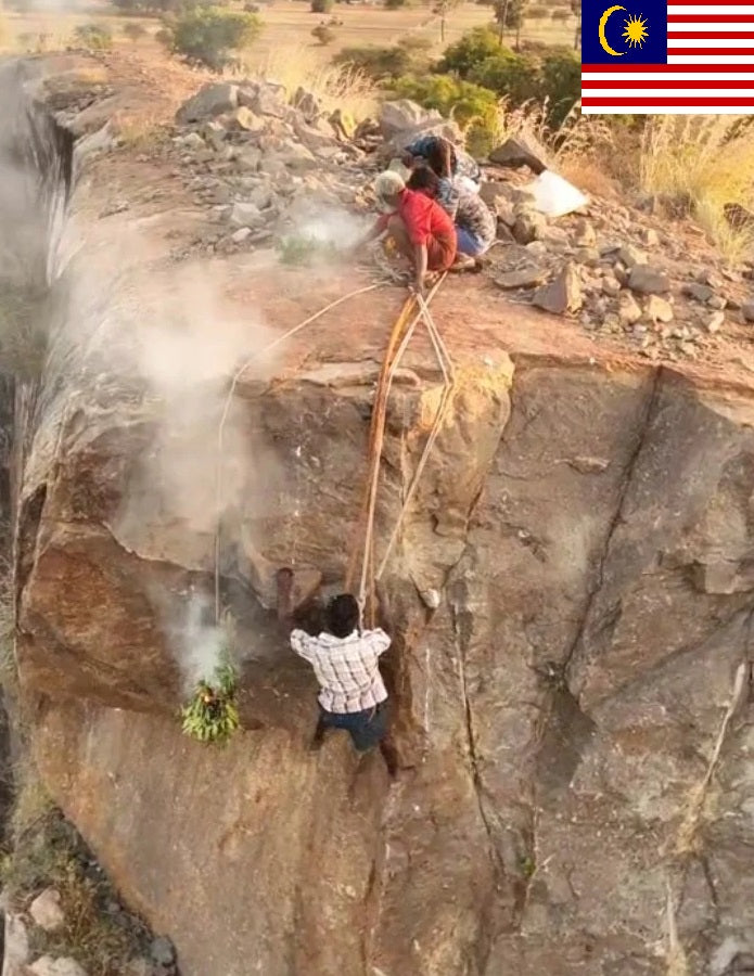 FOR MALAYSIANS ONLY - Seasonal Nectars - Wild Honey From Seasonal Nectars - Honey Will Be Squeezed - Delivery Anytime Before End Of April 2026