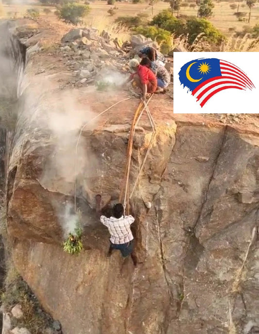 FOR MALAYSIANS ONLY - Seasonal Nectars - Wild Honey From Seasonal Nectars - Honey Will Be Squeezed - Delivery Anytime Before End Of April 2026