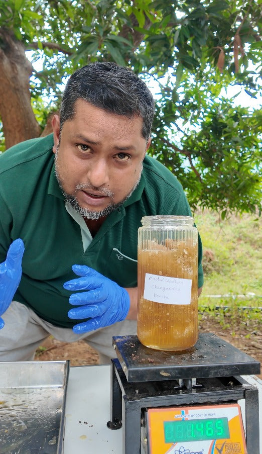 Seasonal Nectars - Wild Honey From Seasonal Nectars - Delivery Anytime Before End Of Feb 2026