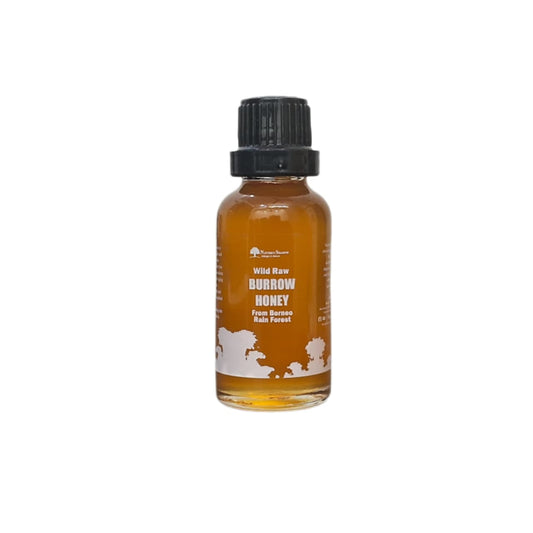 Burrow Honey | Wild Borneo Forest Honey – Tangy + Highly Fermented - 40 Grams Pack