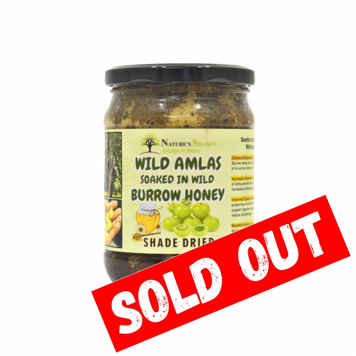 Wild Amlas Soaked In Wild Forest Burrow Honey