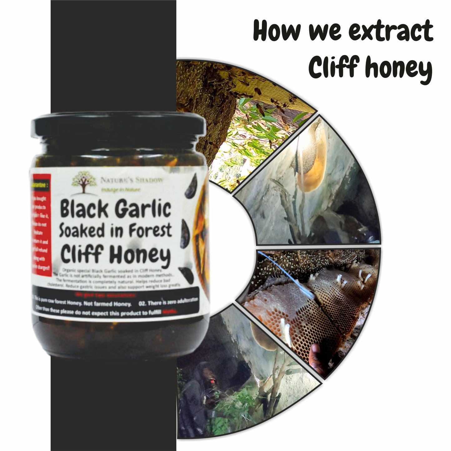 Black Garlic Soaked In Forest Cliff Honey (Naturally Fermented Black Garlics)