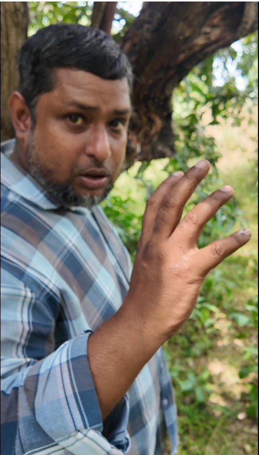 Virtual Stingless Bee Honey Harvest Experience: Harvest Your Own Pot of Raw Honey from The Wild!  -  Before The End of Mar 2026