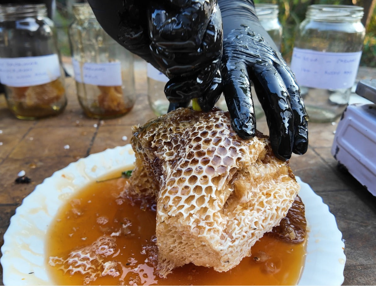 Tiger Pickers Where The Bengal Tigers Rule - Wild Honey With Hive From The World's M ...
