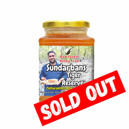 Sundharbans Tiger Reserve's - Raw Forest Honey - Catharanthus Flower Nectar