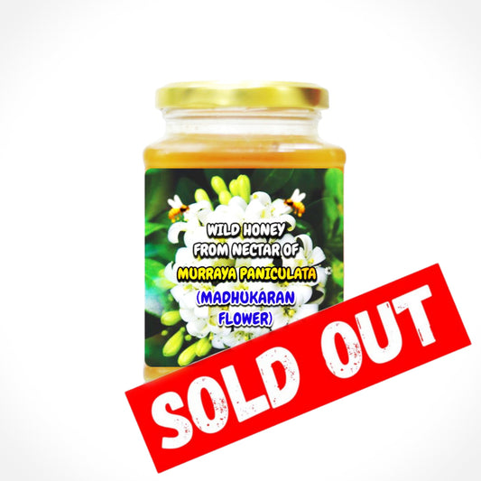 Wild Honey From The Nectars Of Murraya Paniculata (Madhukaran Poo)