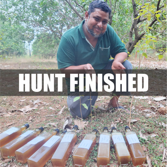 Virtual Stingless Bee Honey Harvest Experience: Harvest Your Own Pot of Raw Honey from The Wild!  -  Before The End of Feb 2026