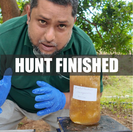 Seasonal Nectars - Wild Honey From Seasonal Nectars - Delivery Anytime Before End Of Feb 2026