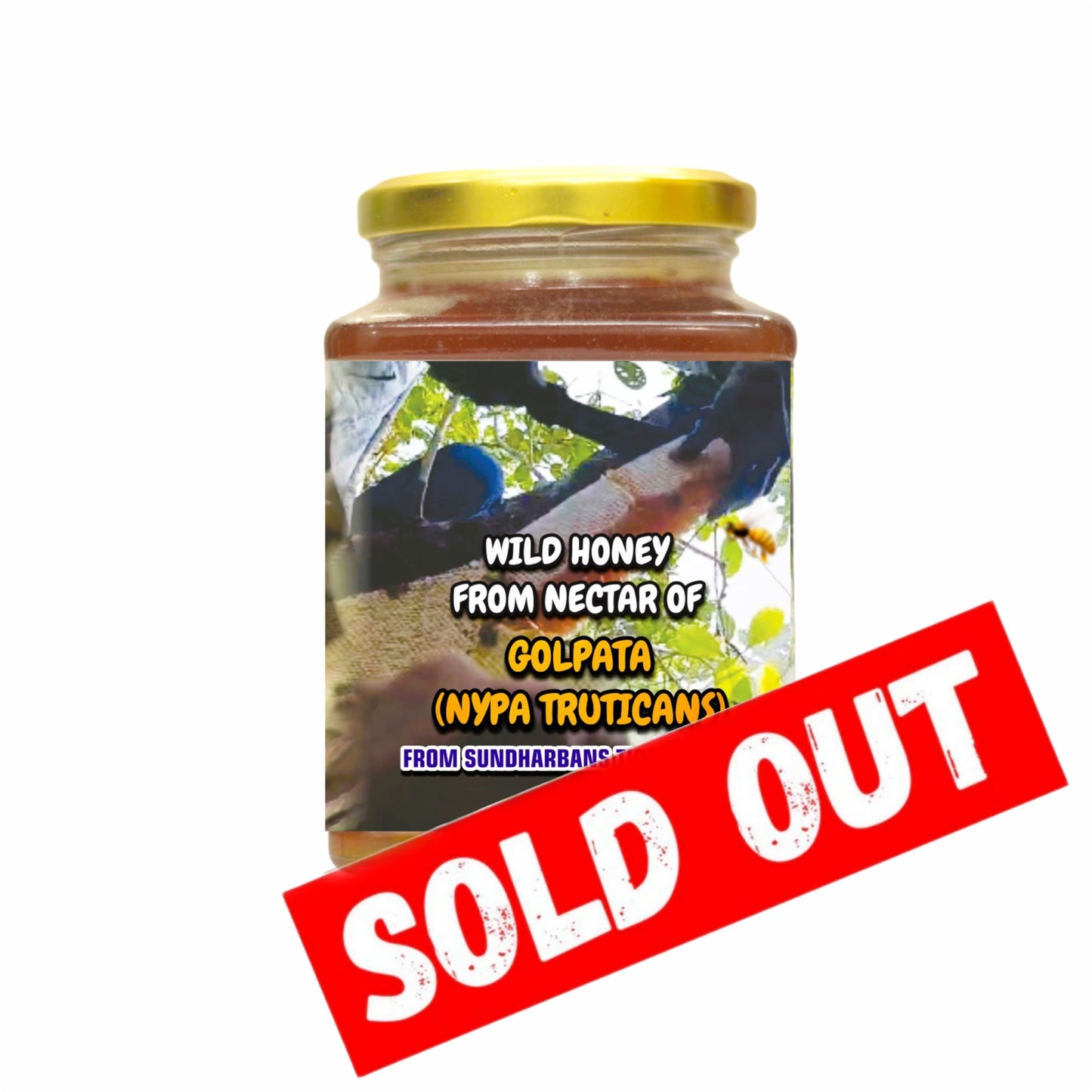 Sundharbans Tiger Reserve's - Golpata Flowers (Smells Alcoholic)