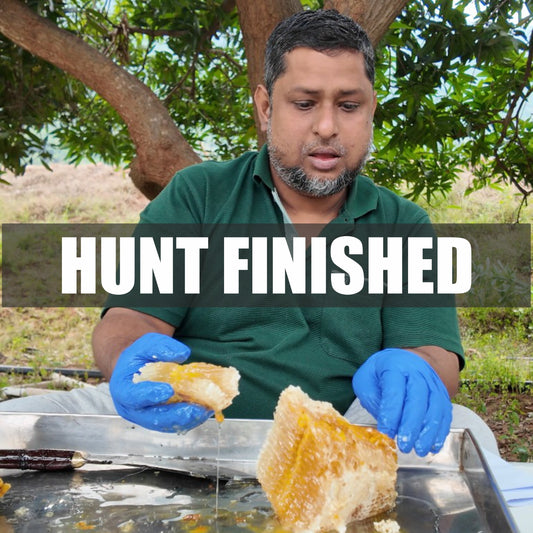 Seasonal Nectars - Wild Honey With The Hive And Pollen And Everything A Hive Holds - From Seasonal Nectars - Honey Won't Be Squeezed - Delivery Anytime Before End Of Feb 2026