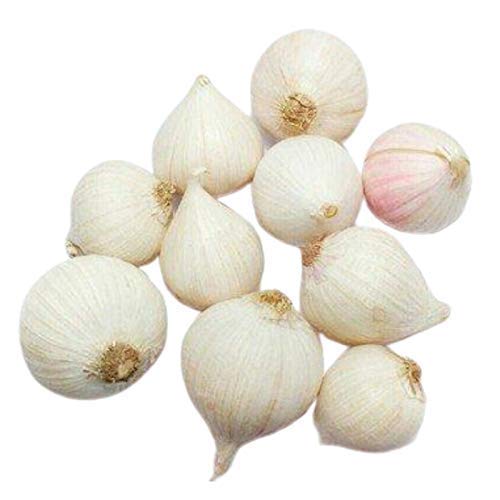 Single Clove Garlic For Weight Loss- 1 Kg