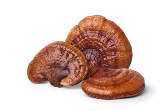 Whole Red Reishi Mushroom For Better Eye Sight and More - 50 Grams
