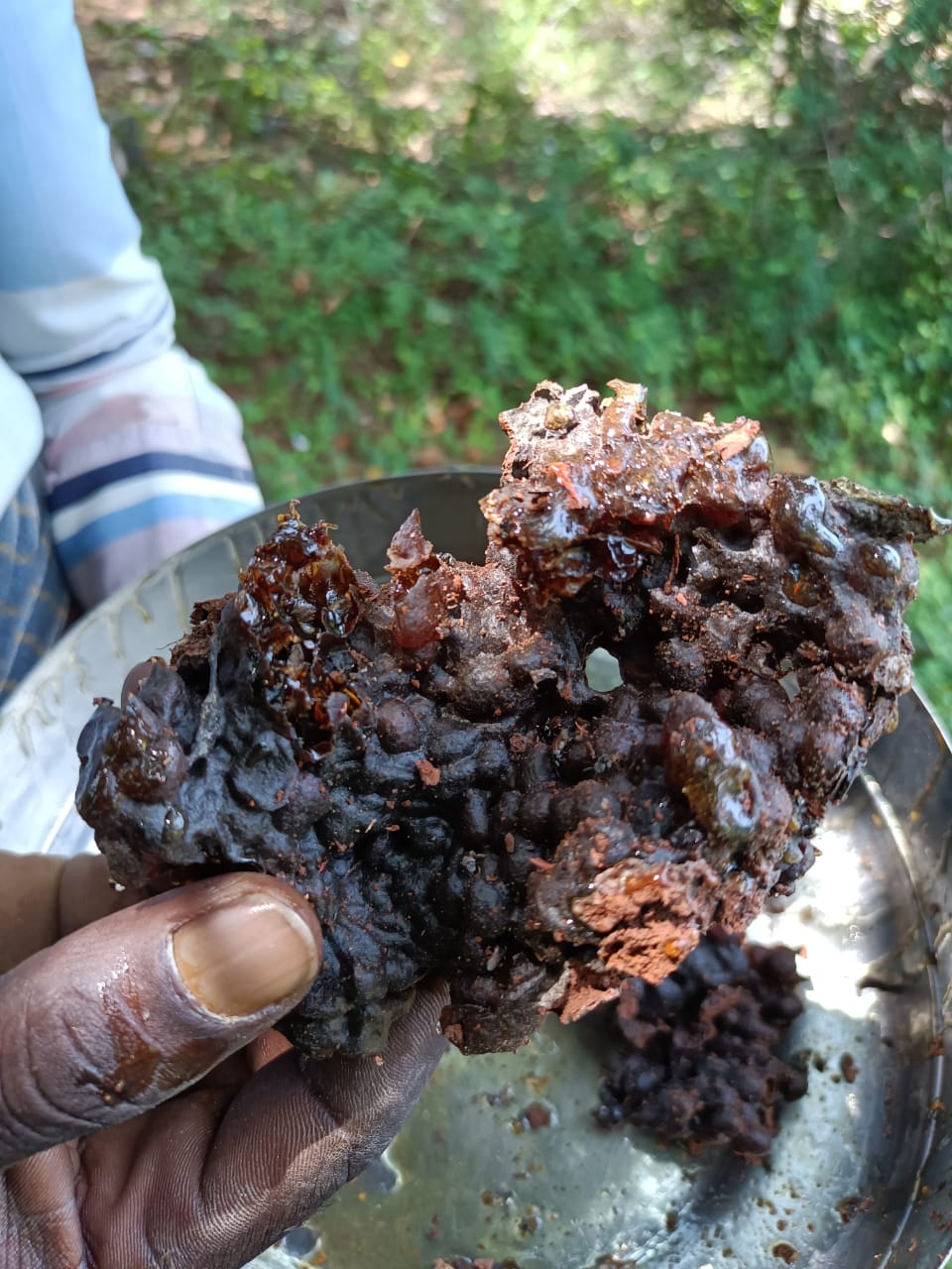 500 Grams - Raw Stingless Bee Forest Honey - Thalavadi Origin