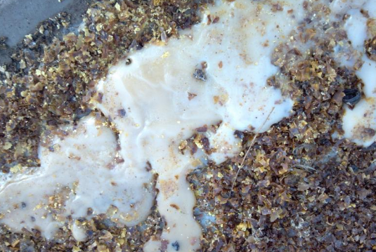 500 Grams - Raw Forest White (Milk Coloured) Honey