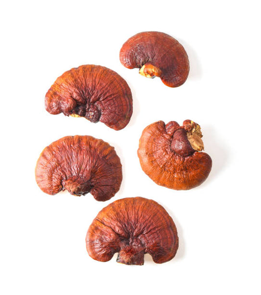 Whole Red Reishi Mushroom For Better Eye Sight and More - 50 Grams